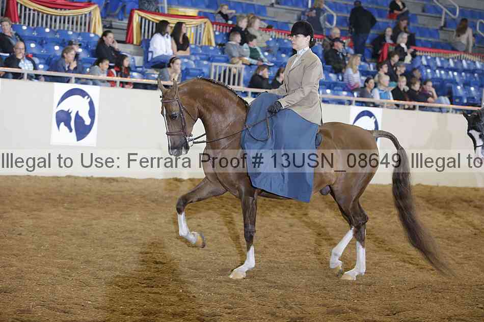 Proof 13usn_08649
