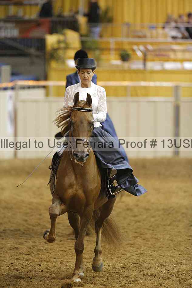 Proof 13usn_08657
