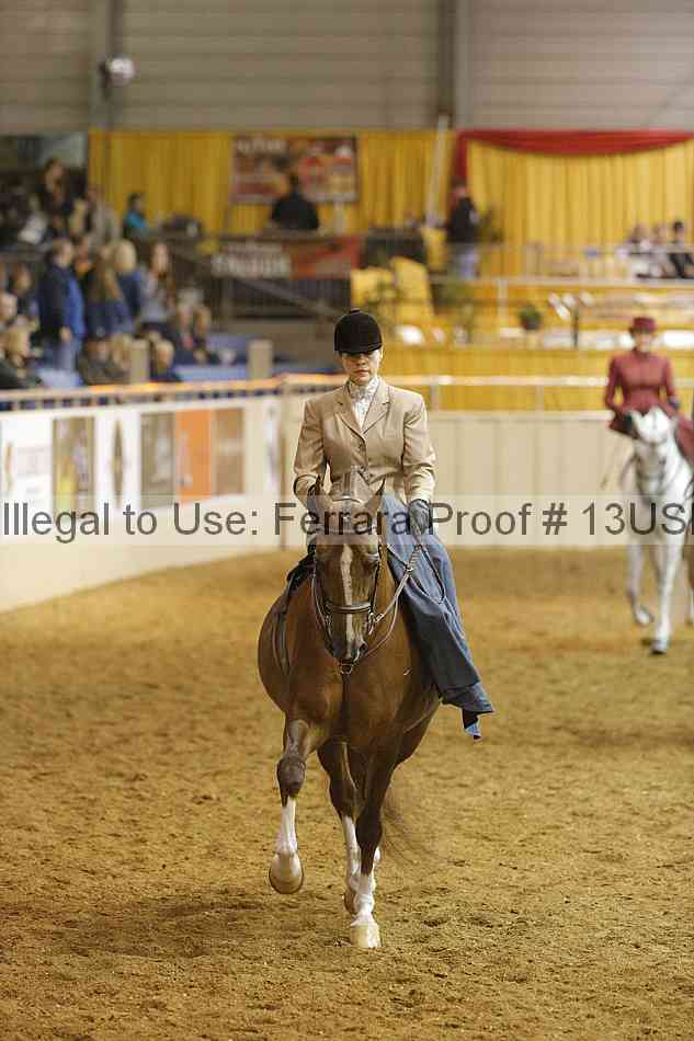 Proof 13usn_08661