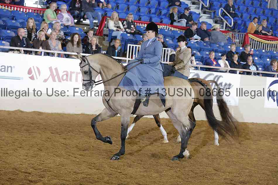 Proof 13usn_08665