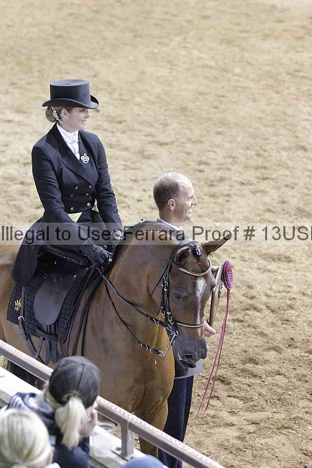 Proof 13usn_08690