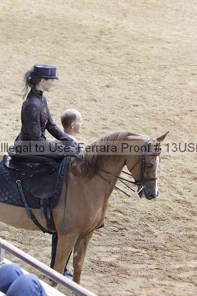 Proof 13usn_08699