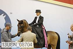 13usn_08704 proof