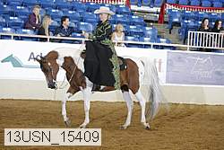 13usn_15409 proof