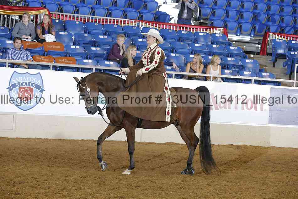 Proof 13usn_15412