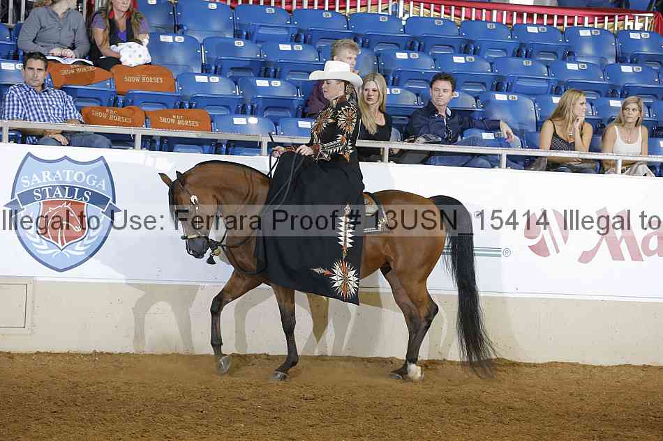 Proof 13usn_15414