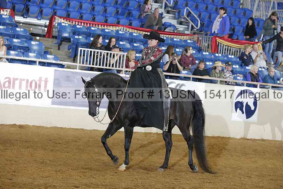 Proof 13usn_15417