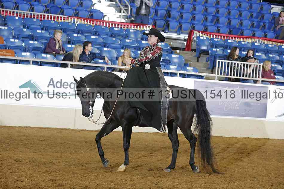 Proof 13usn_15418