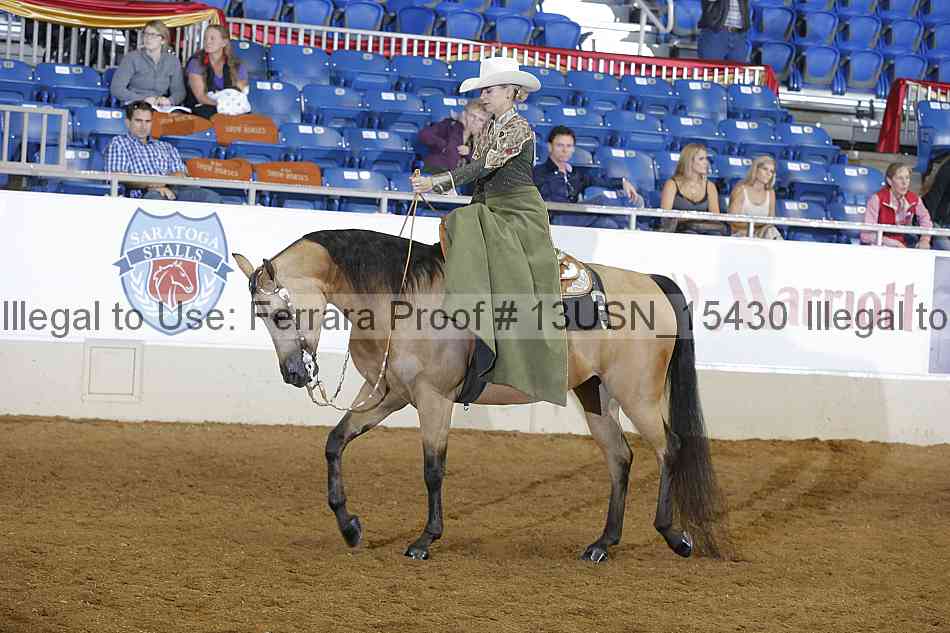 Proof 13usn_15430