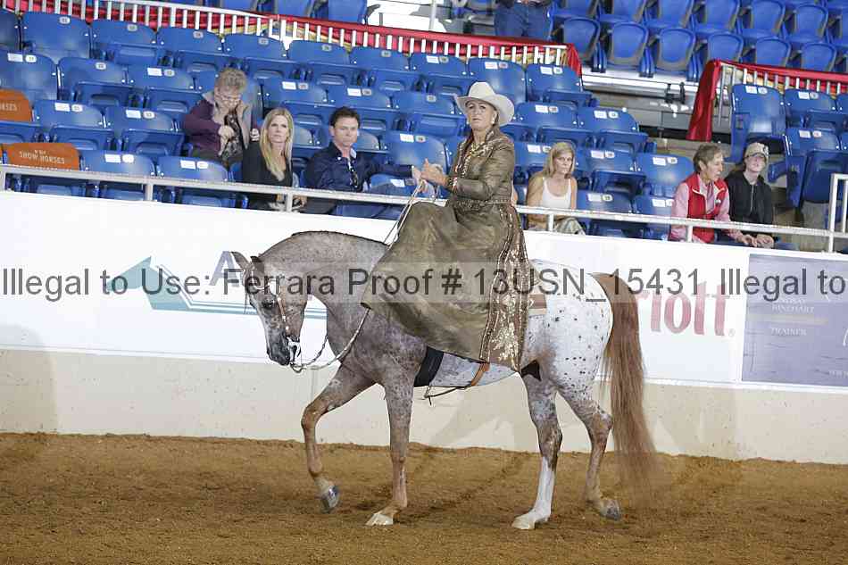 Proof 13usn_15431