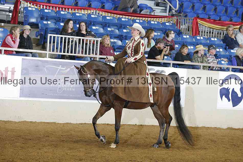 Proof 13usn_15437