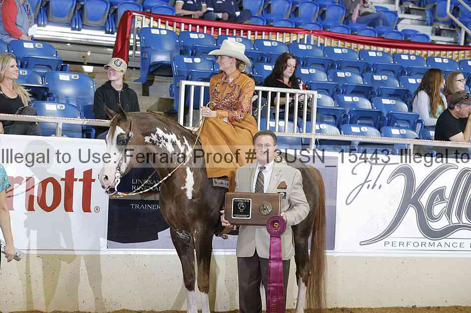 Proof 13usn_15443