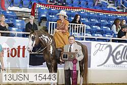 13usn_15443 proof