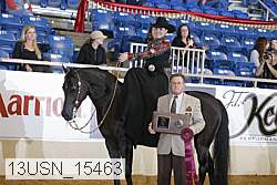 13usn_15463 proof