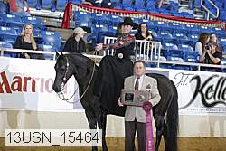 13usn_15464 proof
