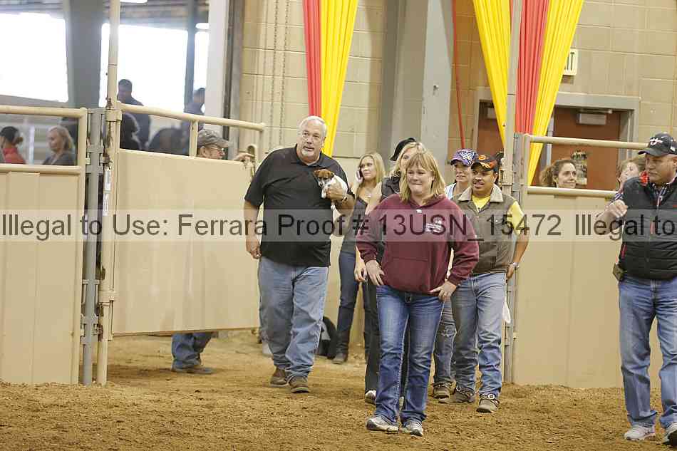 Proof 13usn_15472