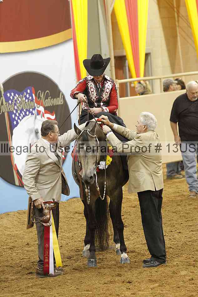 Proof 13usn_15482
