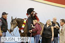 13usn_15487 proof