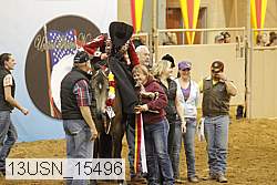 13usn_15496 proof