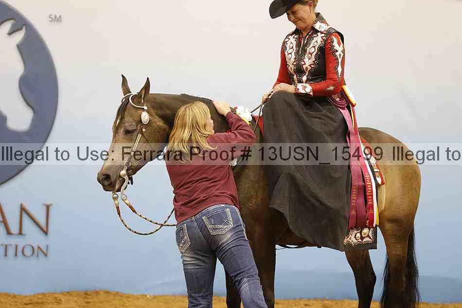 Proof 13usn_15499