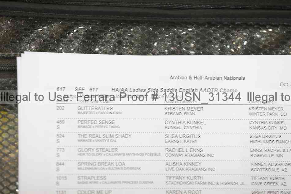 Proof 13usn_31344