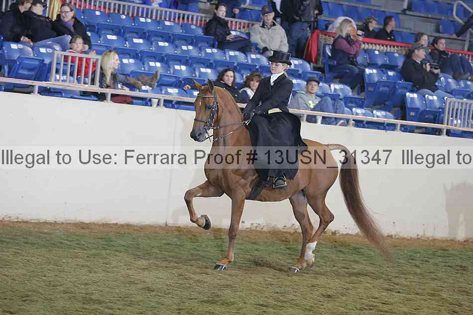 Proof 13usn_31347