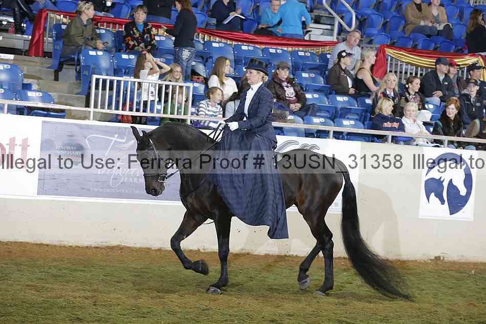 Proof 13usn_31358