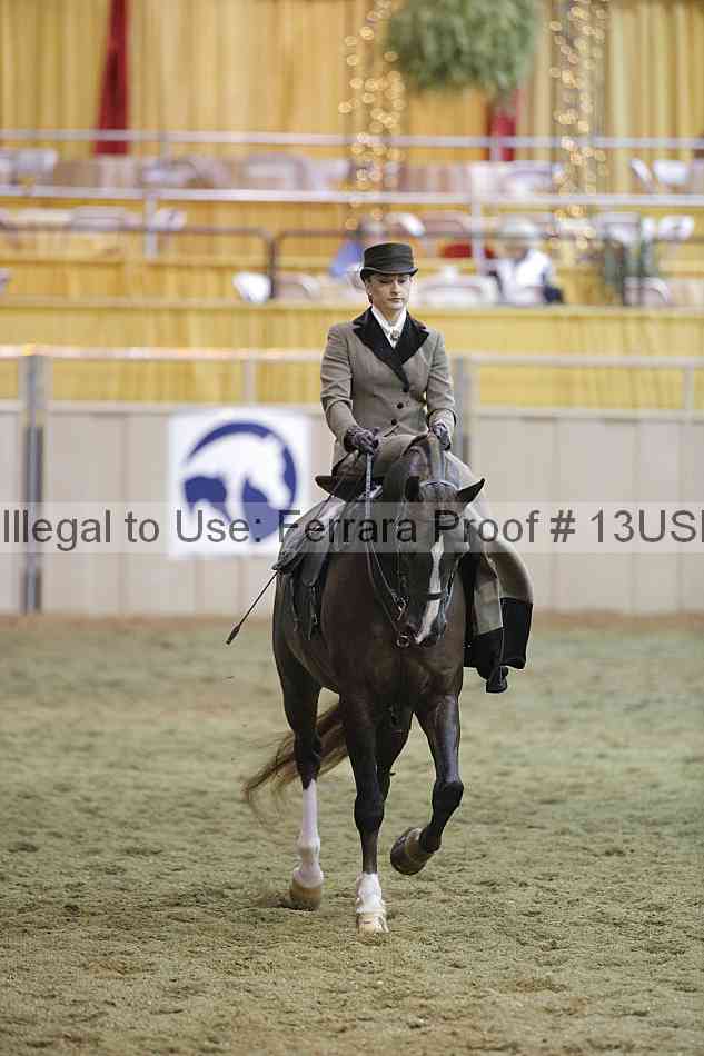 Proof 13usn_31359