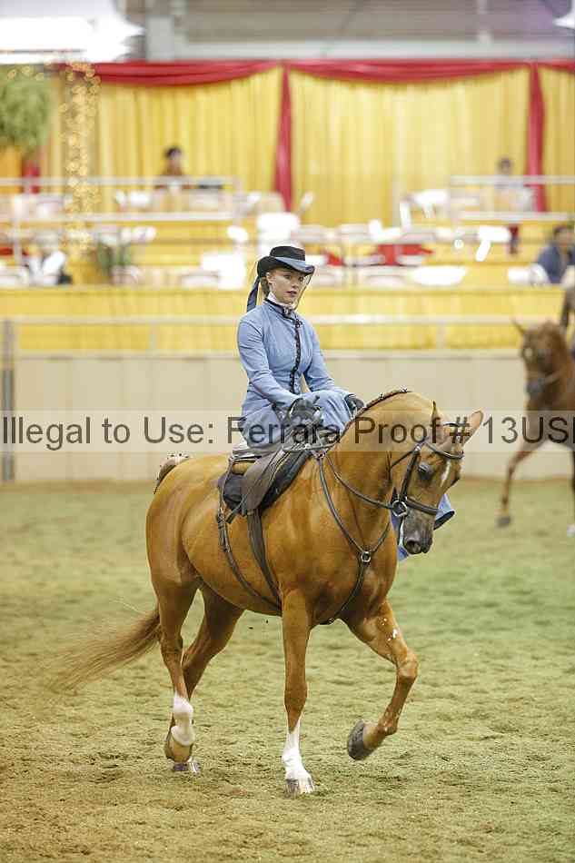 Proof 13usn_31363