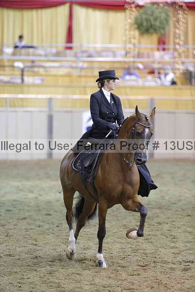 Proof 13usn_31366