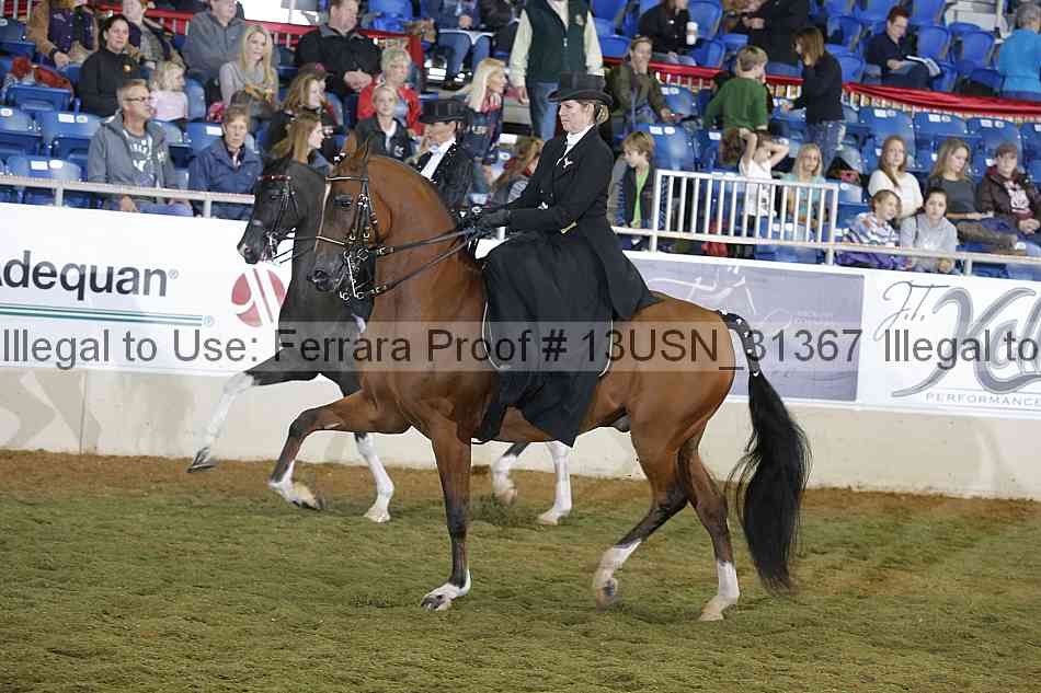 Proof 13usn_31367
