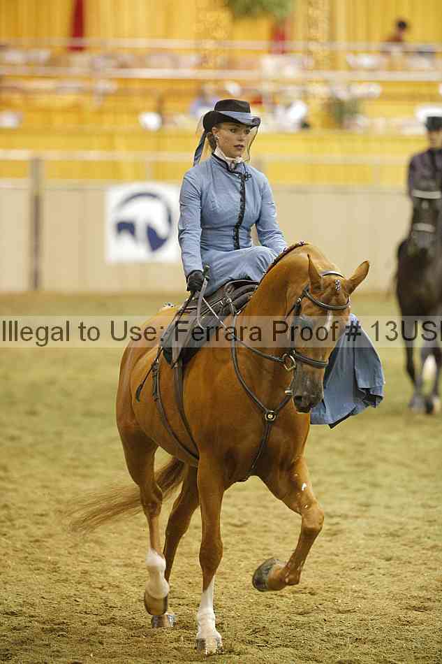 Proof 13usn_31381