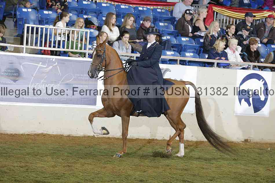 Proof 13usn_31382