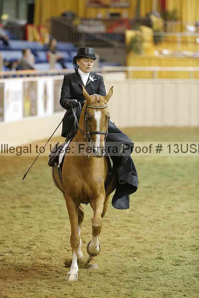 Proof 13usn_31386