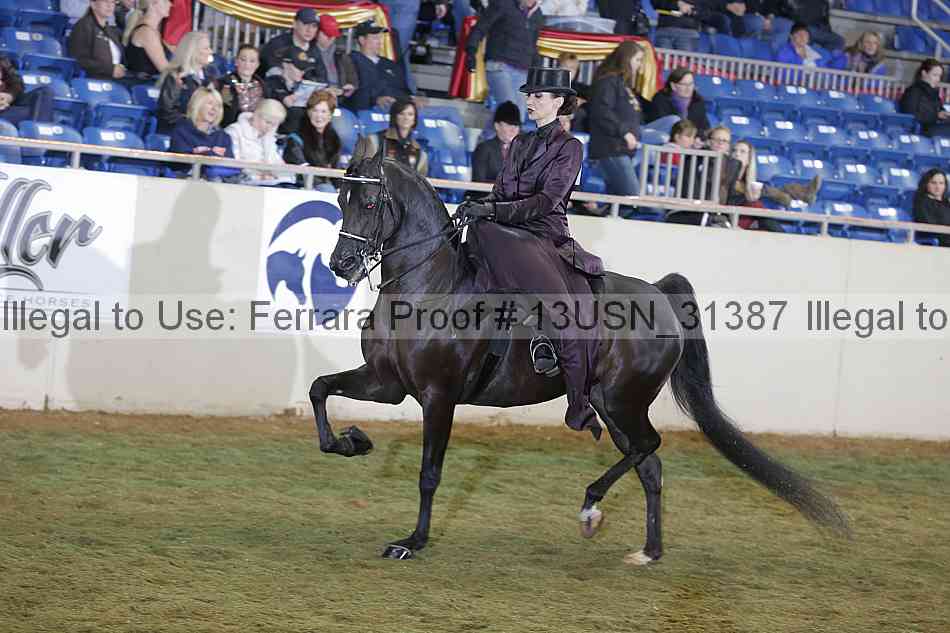 Proof 13usn_31387