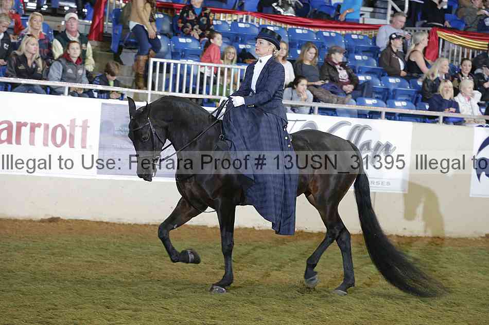 Proof 13usn_31395