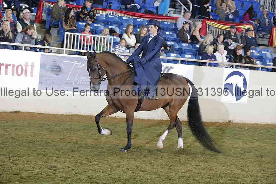 Proof 13usn_31396