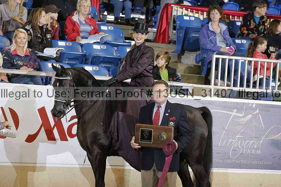 Proof 13usn_31407