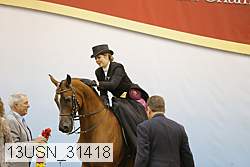 13usn_31418 proof