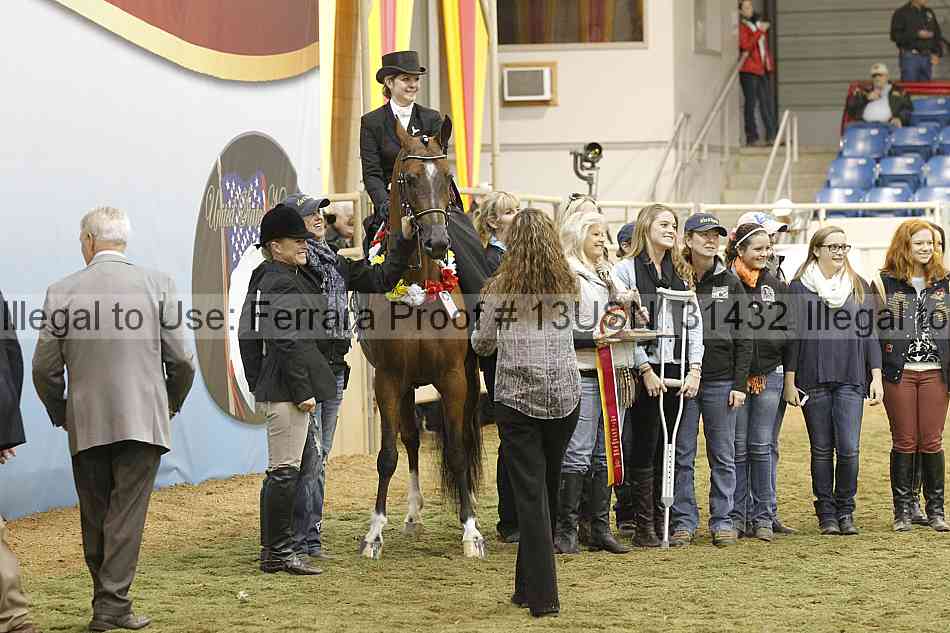 Proof 13usn_31432