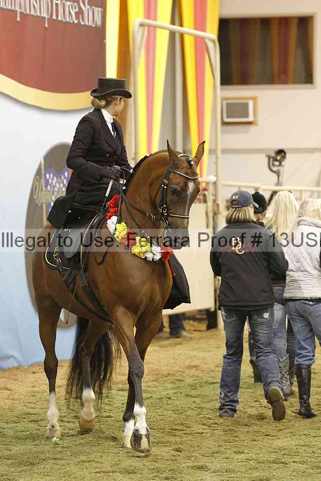 Proof 13usn_31441