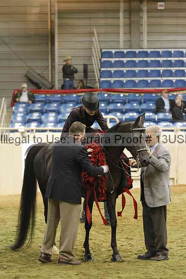 Proof 13usn_31454