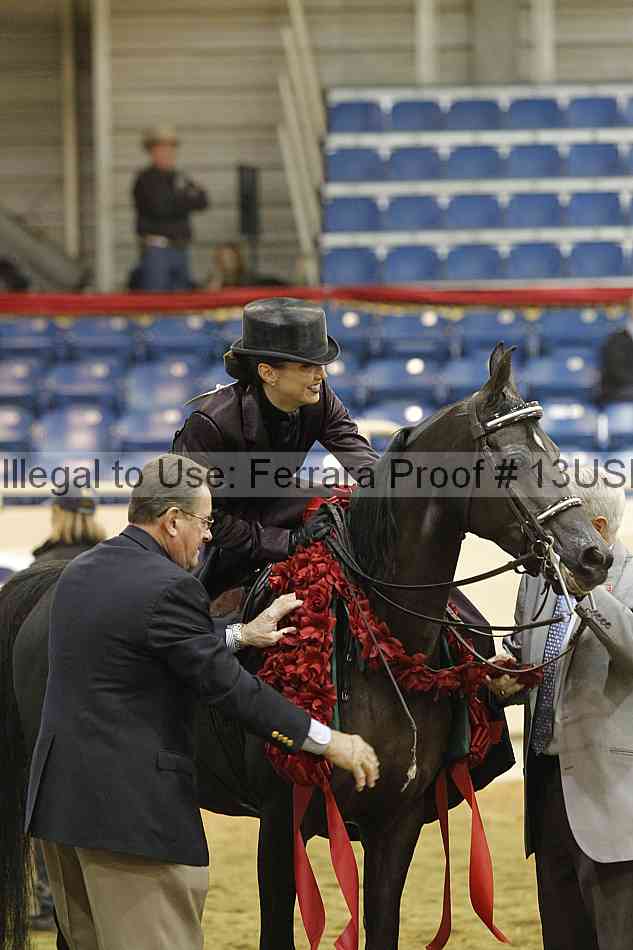 Proof 13usn_31455