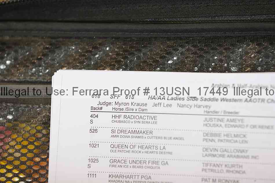 Proof 13usn_17449