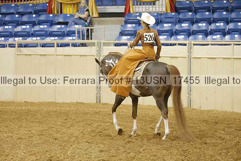 Proof 13usn_17455