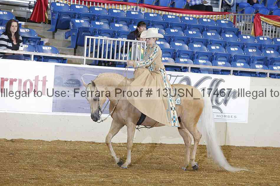 Proof 13usn_17467