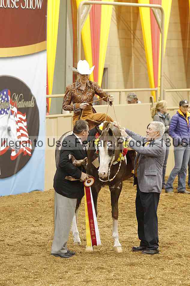 Proof 13usn_17496