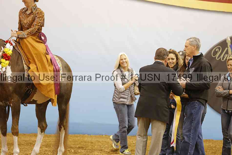 Proof 13usn_17499