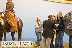 13usn_17499 proof