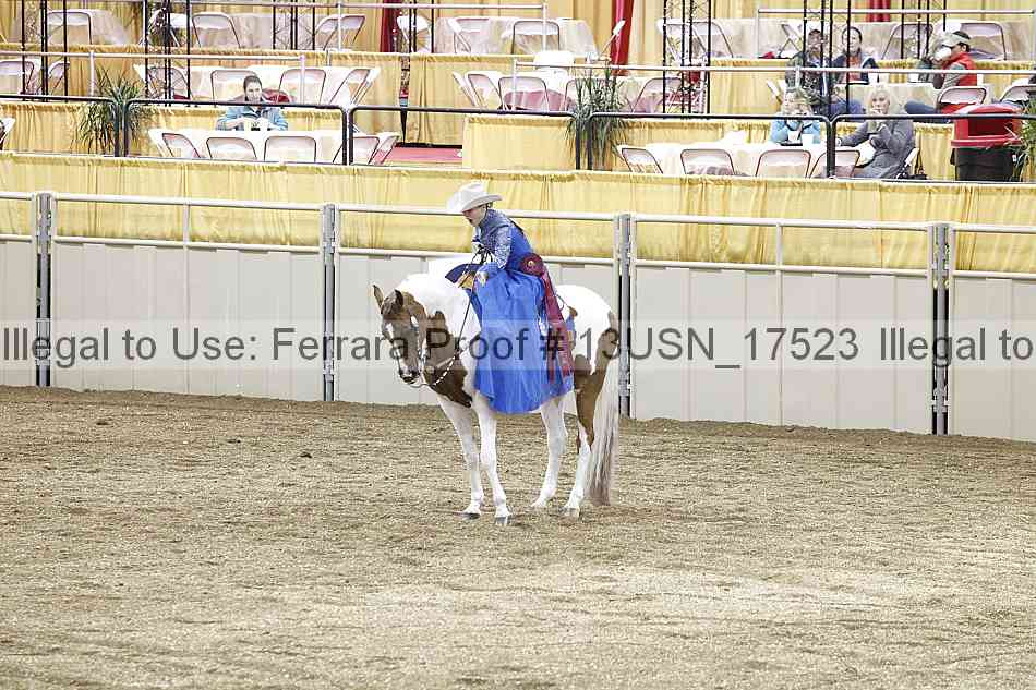 Proof 13usn_17523